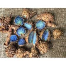 Organic Black Turmeric Finger 1 Kg.